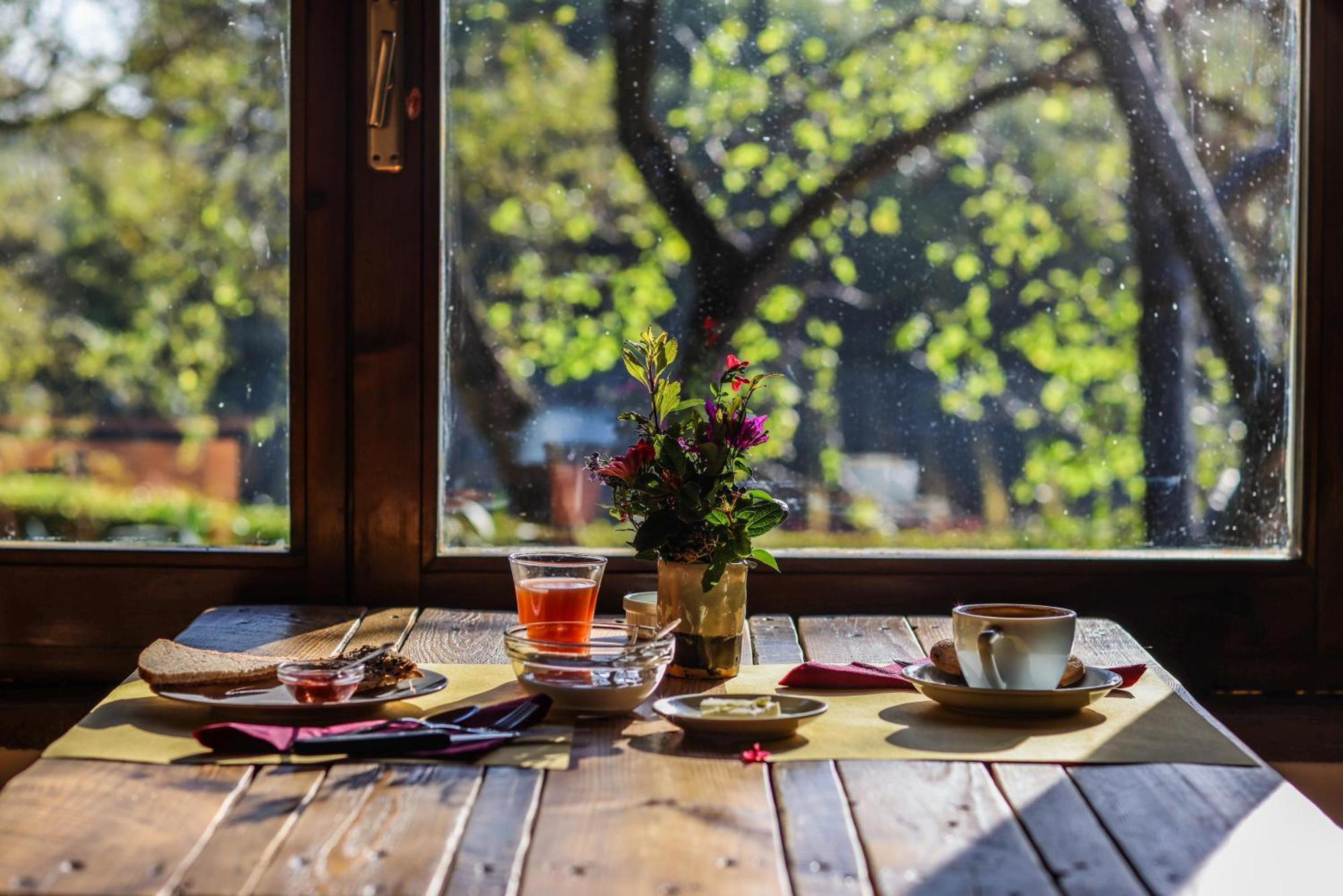 Bio-Agriturismo La Ginestra San Casciano in Val di Pesa Ngoại thất bức ảnh